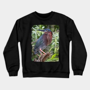 Green Heron Crewneck Sweatshirt